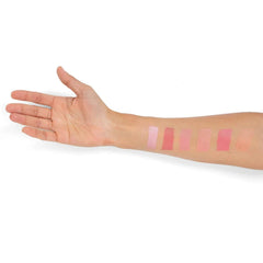 PALLADIO I'M BLUSHING BLUSH ONSTICK BLT-01 6GM