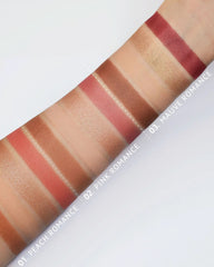 ASTRA PALETTE CONTOUR BLUSH HIGHLIGHTER 02 8GM
