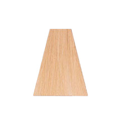 ARTECOLOR BASE & FANTASY HAIR COLOR 10 100ML