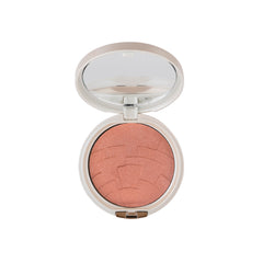 GABRINI PROFESSIONAL HIGHLIGHTER 03 12GM
