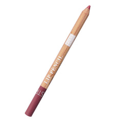 ASTRA PURE BEAUTY LIP LINER PENCIL 06 1GM