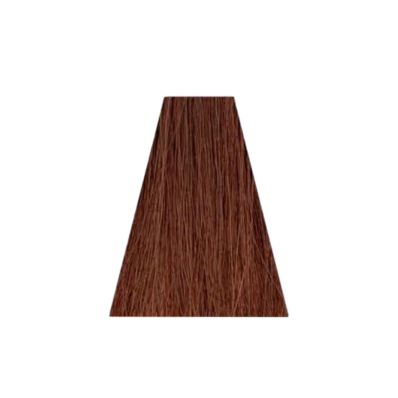 ARTECOLOR BASE & FANTASY HAIR COLOR 6.22 100ML
