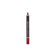 GABRINI EXPRESS LIP & EYE PENCIL 114 3.5GM