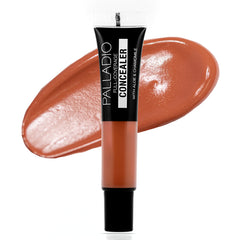 PALLADIO UNDER EYE DISGUISE CONCEALER PCT-12 10GM